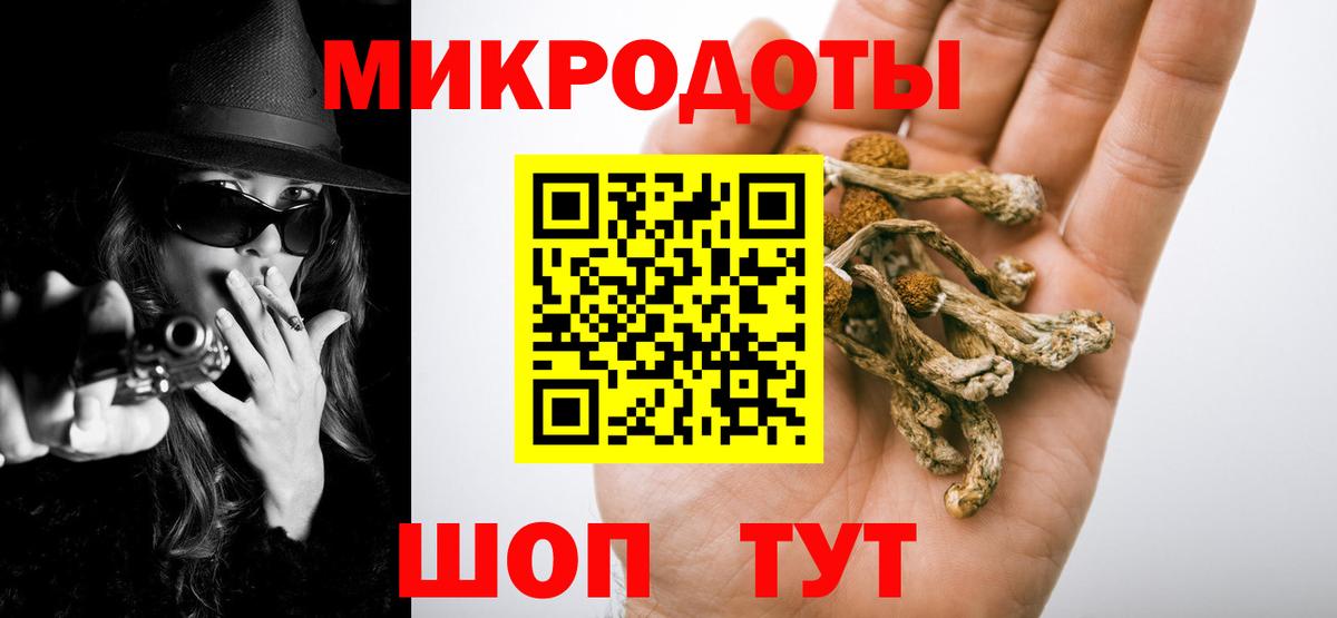 Галлюциногенные грибы Psilocybe Бирск