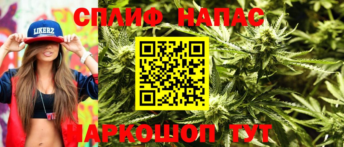 Бошки Шишки VHQ Бирск